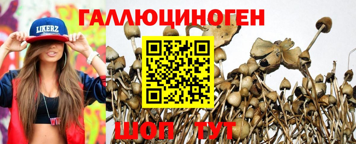 Псилоцибиновые грибы GOLDEN TEACHER Мурманск