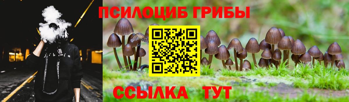 Псилоцибиновые грибы MAGIC MUSHROOMS  Вход с VPN  Мурманск 